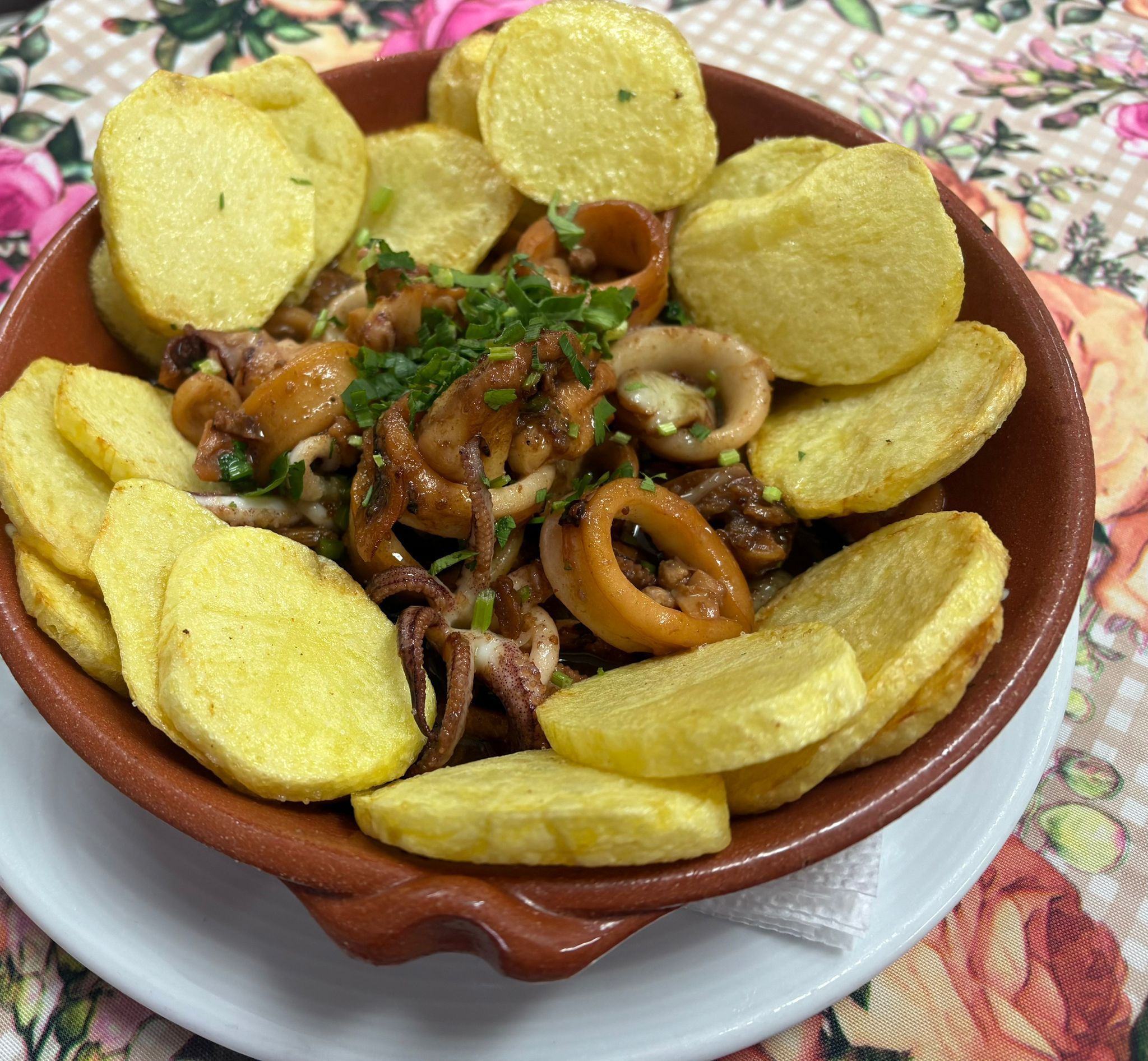 Preparação de Lulas